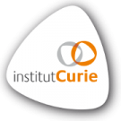 Institut Curie